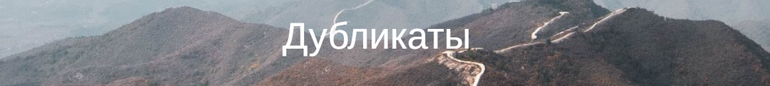 [Юлия Бальсина] Дубликаты (2023)