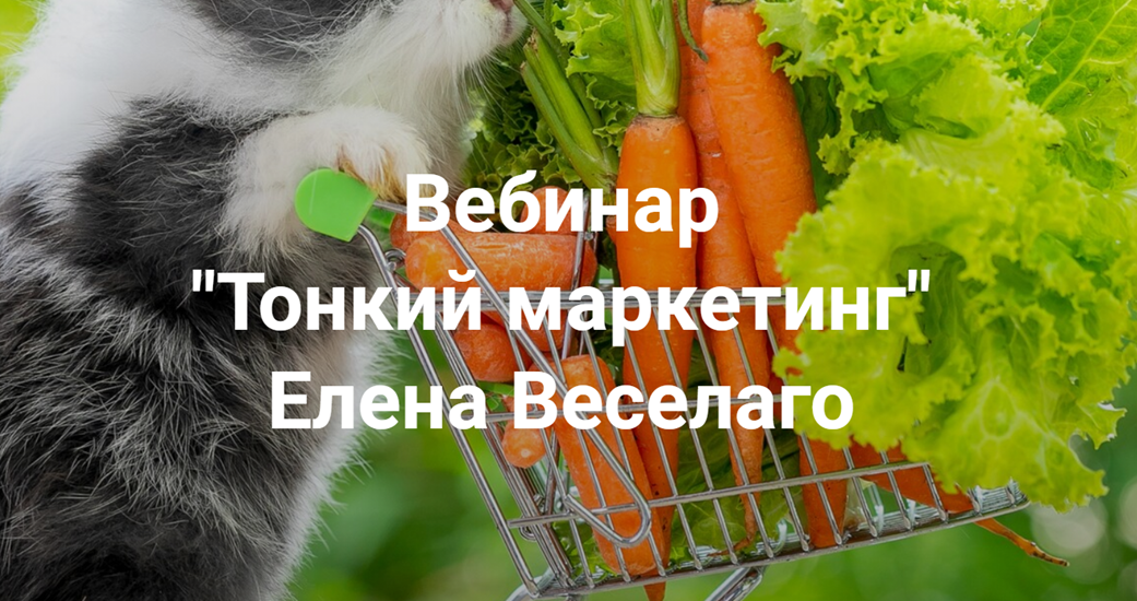 [Институт Открытого поля] Елена Веселаго ― Тонкий маркетинг (2024)