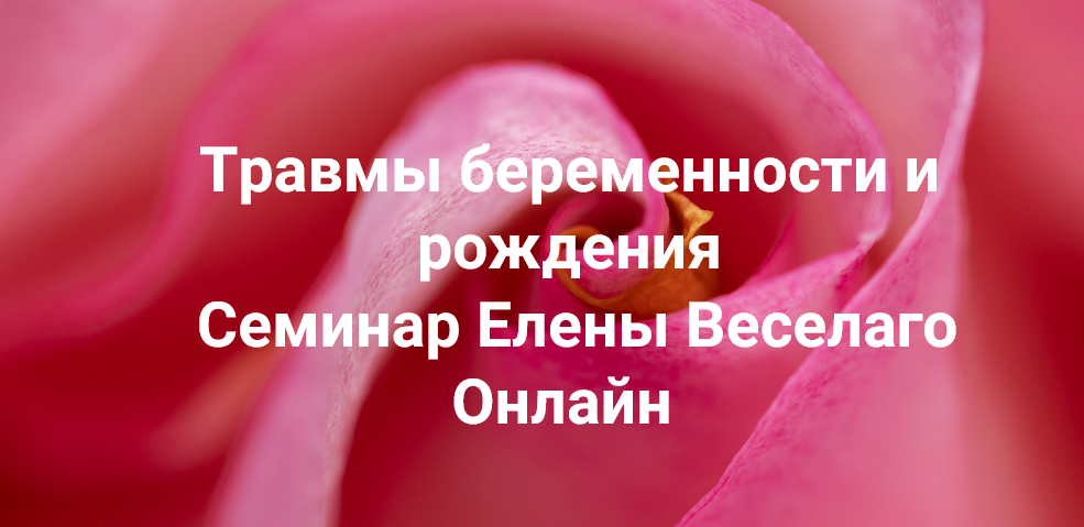 [Елена Веселаго] [Институт Открытого Поля] Травмы беременности и рождения (2024)