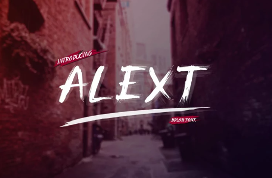 [Fontbundles] Alext (2022)