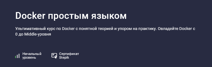 [Матвей Чудневцев, Михаил Новичихин] [Stepik] Docker простым языком (2025)