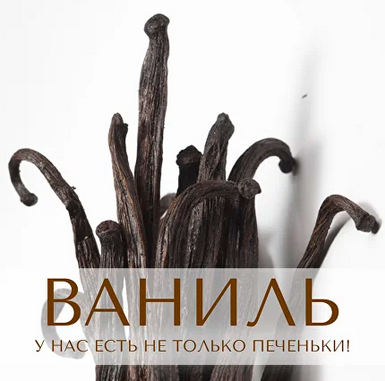 [Анна Зворыкина] [Парфюмерия] Ваниль: у нас есть не только печеньки! (2024)