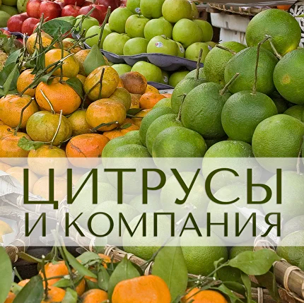 [Анна Зворыкина] [Парфюмерия] Цитрусы и компания (2024)