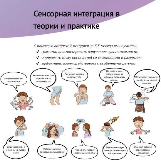 [Света Ревич] Сенсорная интеграция в теории и практике (2022)